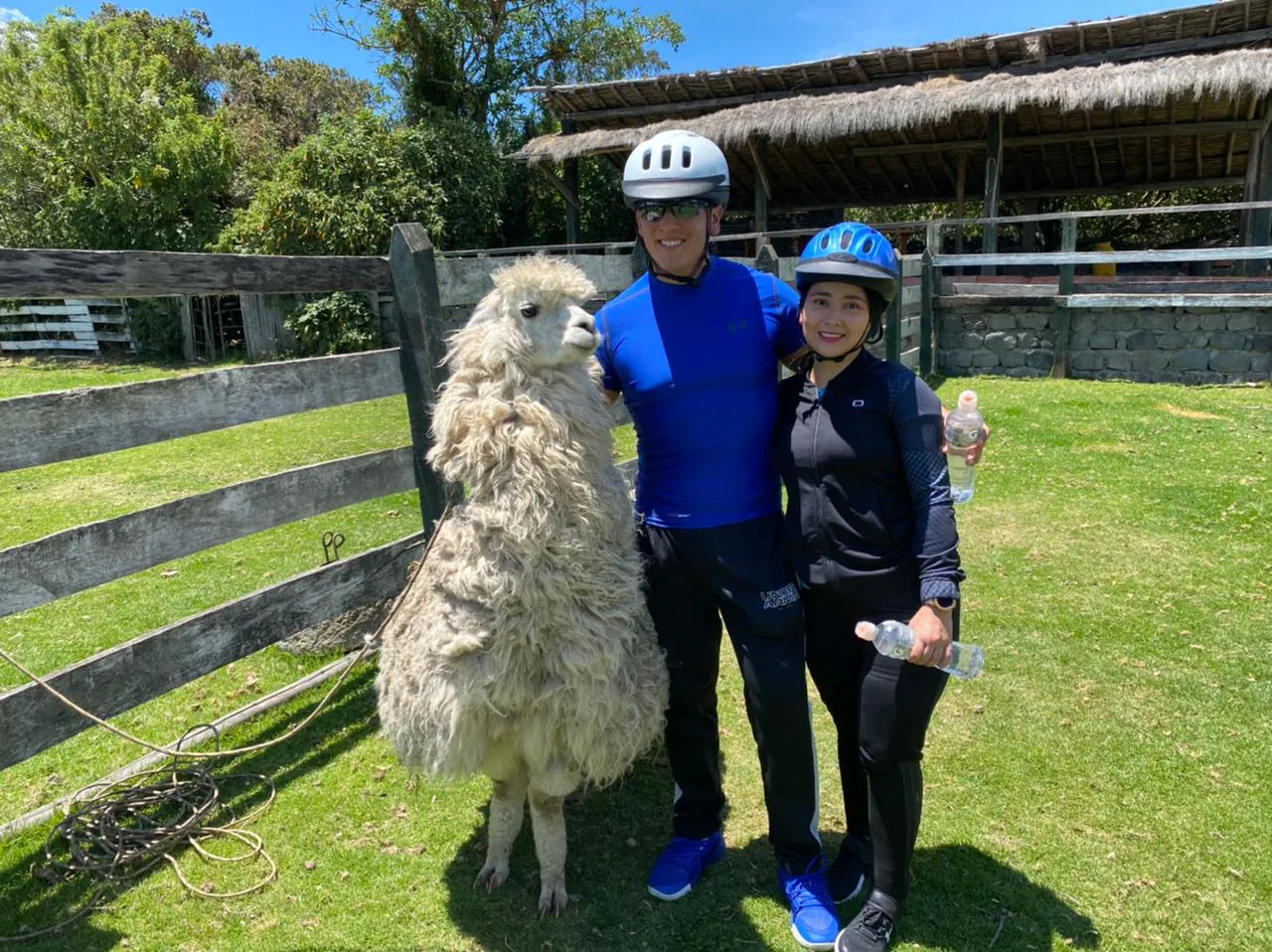 Pareja de turistas abrazando a una alpaca