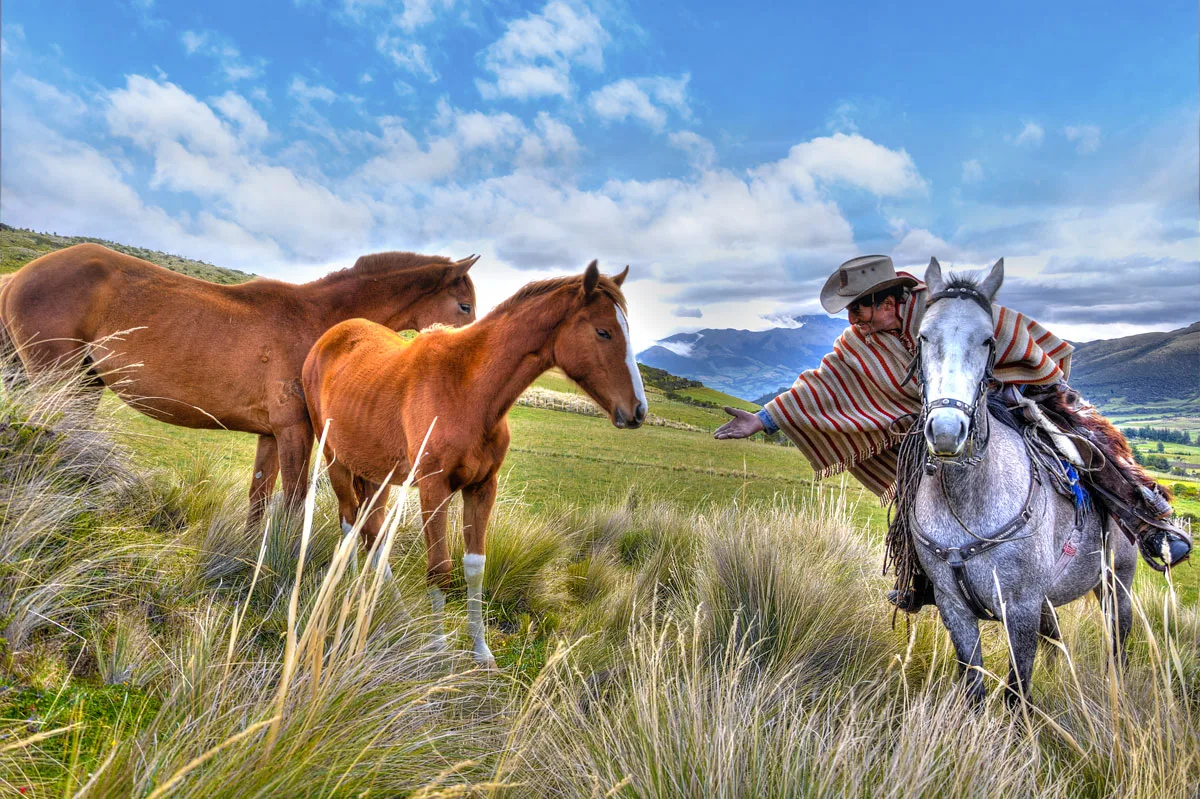 Cabalgata a caballo en Ecuador